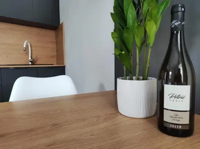 a table with two bottles of wine and a plant at Boutique rooms by Petrič winery in Dobravlje