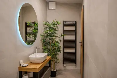 a bathroom with a sink and a mirror and a plant at Boutique rooms by Petrič winery in Dobravlje