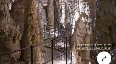 a grove of trees in a cave at Lovely apartment in nature with sauna in Postojna