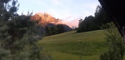 a view of a mountain in a field with trees at Sunny place in Kranjska Gora