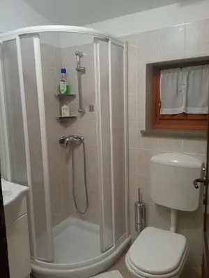 a bathroom with a shower and a toilet at Arkade turizem in Črniče