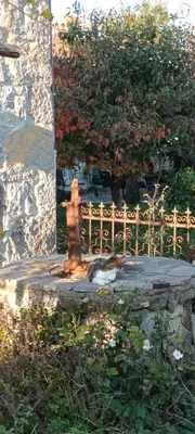 a fire hydrant sitting next to a fence at A lovely house in Vipava valley in Vipava