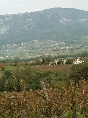 a view of a field with mountains in the background at A lovely house in Vipava valley in Vipava