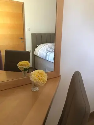 a room with a mirror and a table with flowers at Deno in Podgrad