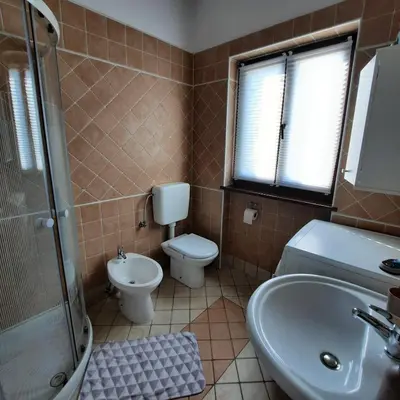 a bathroom with a toilet and a sink and a shower at Apartma Rok in Plavje