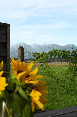 a bunch of yellow flowers in front of a fence at Glamping with a view in Smlednik