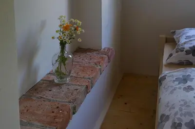 a vase of flowers sitting on a brick wall at Apartma Caprivi Zavod za razvoj turizma Kočevski rog in Kočevje