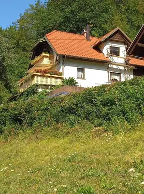 a house sitting on top of a hill at APARTMENT WITH A VIEW in Bohinjska Bistrica