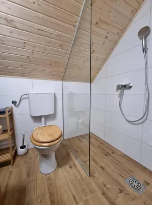 a bathroom with a toilet and a shower at Počitniška hišica Žagar in Podčetrtek
