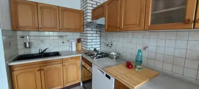 a small kitchen with wooden cabinets and a sink at Apartma pr' Ivani Miškorinovi in Breginj
