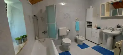 a bathroom with a shower and a toilet and a sink at Apartma pr' Ivani Miškorinovi in Breginj