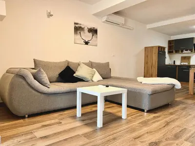a living room with a couch and a table at Apartment ZEN in Zgornje Škofije