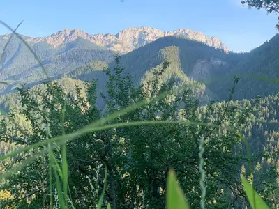 a view of a mountain range with trees in the foreground at Črjanski Raj in Črna na Koroškem