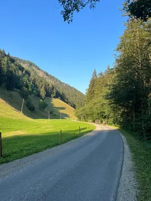 an empty road with trees on the side of a hill at Črjanski Raj in Črna na Koroškem