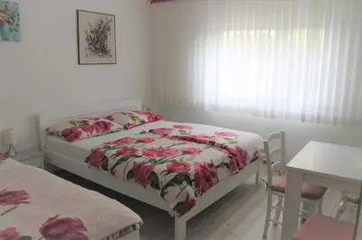 a bedroom with two beds and a table and a window at Rooms Jurca in Postojna
