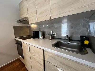a kitchen with a stainless steel sink and wooden cabinets at Ljubljana studios in Ljubljana