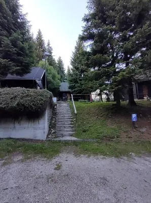 a set of stairs in a yard with trees at Brunarica 6A - Pohorje - Trije Kralji - Druzinsko smucisce in Oplotnica