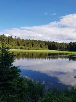 a large lake with trees in the background at Brunarica 6A - Pohorje - Trije Kralji - Druzinsko smucisce in Oplotnica