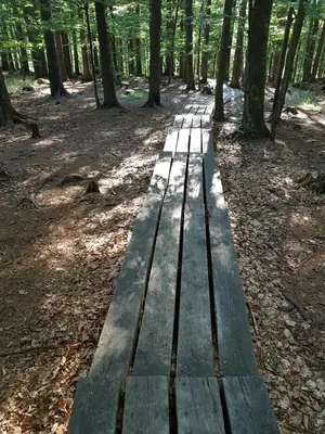 a wooden bench in the middle of a forest at Brunarica 6A - Pohorje - Trije Kralji - Druzinsko smucisce in Oplotnica