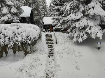 a snow covered yard with a snow covered tree at Brunarica 6A - Pohorje - Trije Kralji - Druzinsko smucisce in Oplotnica