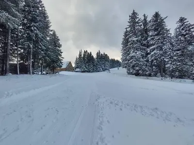 a snow covered road with trees and a house at Brunarica 6A - Pohorje - Trije Kralji - Druzinsko smucisce in Oplotnica