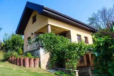 a house with a bunch of grapes in front of it at Počitniška hiška pod Hadikom in Lendava