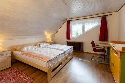 a bedroom with a large bed in a attic at Apartmaji Arh Matilda in Bohinj