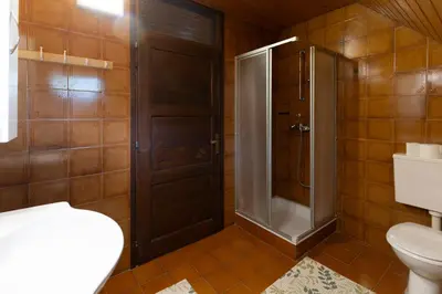 a bathroom with a shower and a toilet and a sink at Apartmaji Arh Matilda in Bohinj