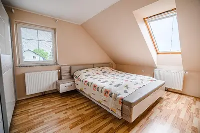 a bedroom with a bed and two windows at Apartment Rimljanček in Leskovec pri Krškem