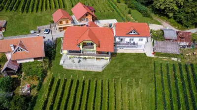 an aerial view of a large house with red roof at Yellow House Grabrovec in Metlika