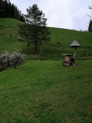 a picnic table with an umbrella in a field at Hiša pod Rogatcem in Luče