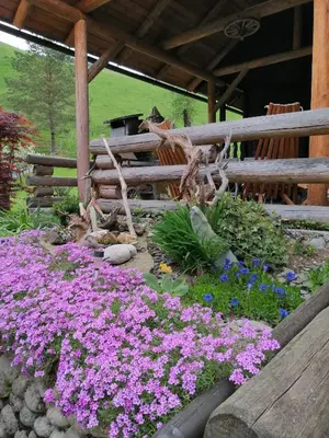 a garden with purple flowers and a wooden fence at Hiša pod Rogatcem in Luče