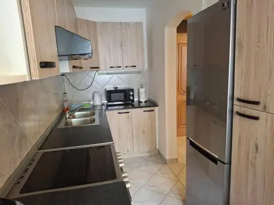 a kitchen with a sink and a stainless steel refrigerator at Apartment Veninsek in Luče