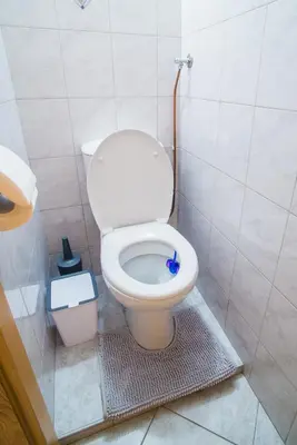 a bathroom with a white toilet in a stall at Apartment Veninsek in Luče