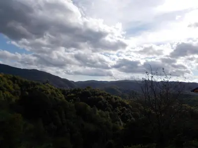a view from the top of a hill with trees at ApartmaVid in Podbočje