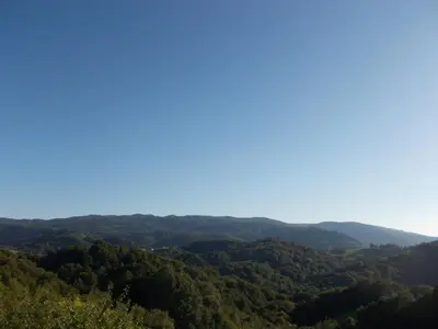 a view from the top of a mountain with trees at ApartmaVid in Podbočje