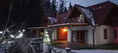 a house in the snow at night at Apartmaji Pri Handelčanih, Zreče in Zreče