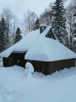 a house covered in snow with trees in the background at Koča Pastirica - Velika planina in Stahovica
