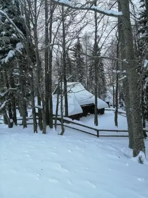 a house is covered in snow in the woods at Koča Pastirica - Velika planina in Stahovica