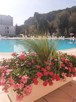 a planter filled with red flowers next to a swimming pool at VILLA GOLF Crystal Drop Apartment in Rogaška Slatina