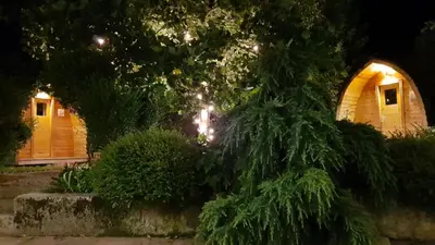 a tree in front of a house at night at Grajski oddih in Cerklje na Gorenjskem