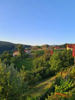 a view of a village from a hill at Zidanica Muhič in Dolenjske Toplice