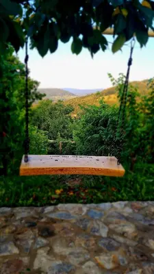 a swing hanging from a tree in a field at Zidanica Muhič in Dolenjske Toplice