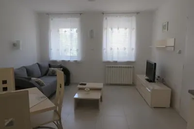 a living room with a couch and a tv at Martinka apartments in Jelšane