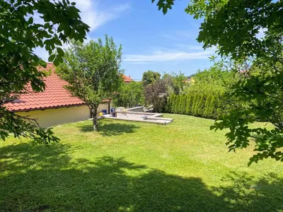 a garden with a bench and a tree at Martinka apartments in Jelšane