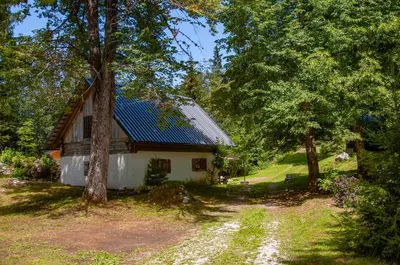 a house with a green roof in the woods at Boutique House Vresje in Bohinjska Bistrica