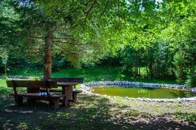 a wooden bench sitting under a tree next to a pond at Boutique House Vresje in Bohinjska Bistrica