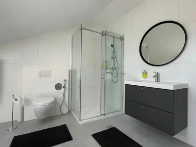 a bathroom with a shower and a toilet and a mirror at ANMARI Apartment & Rooms in Radovljica
