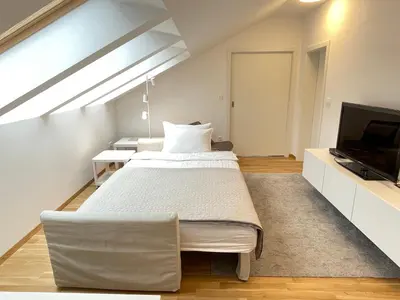a bedroom with a large bed and a flat screen tv at ANMARI Apartment & Rooms in Radovljica