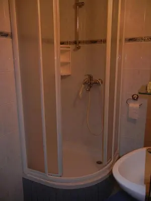 a shower with a glass door in a bathroom at Apartments & Rooms Stare in Bohinj